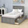 Winston Porter Dominyc Twin Platform Bed With Two Drawers Reviews